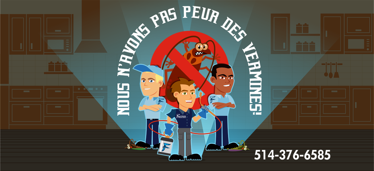 Exterminateur Montréal, Extermination Falcon, image corporate