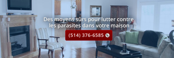 extermination-montreal