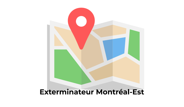 Ville Montréal-Est