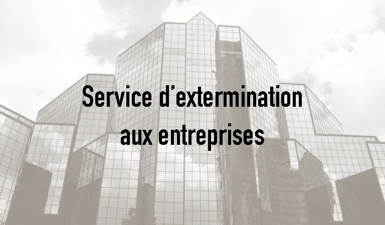 Exterminateur commerciale Montréal-Est, Extermination Falcon, photo